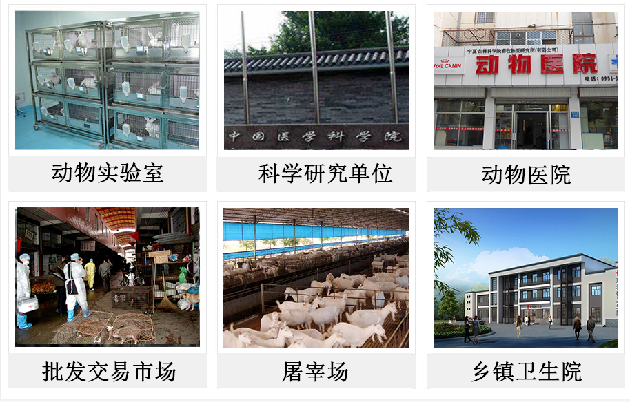 動(dòng)物（寵物）焚燒爐