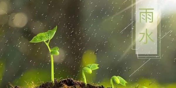 雨水 | 潤(rùn)澤萬(wàn)物，耀先環(huán)境愿你得綿遠(yuǎn)深情